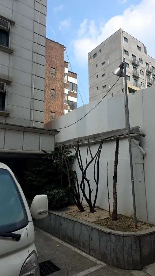 성남 가지치기 작업 후