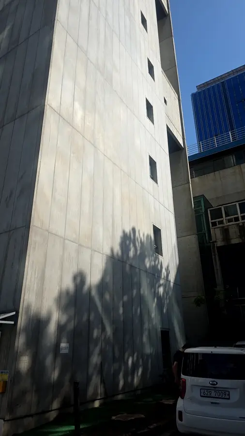 경기 남부 벌목·수목 정리 작업 현장